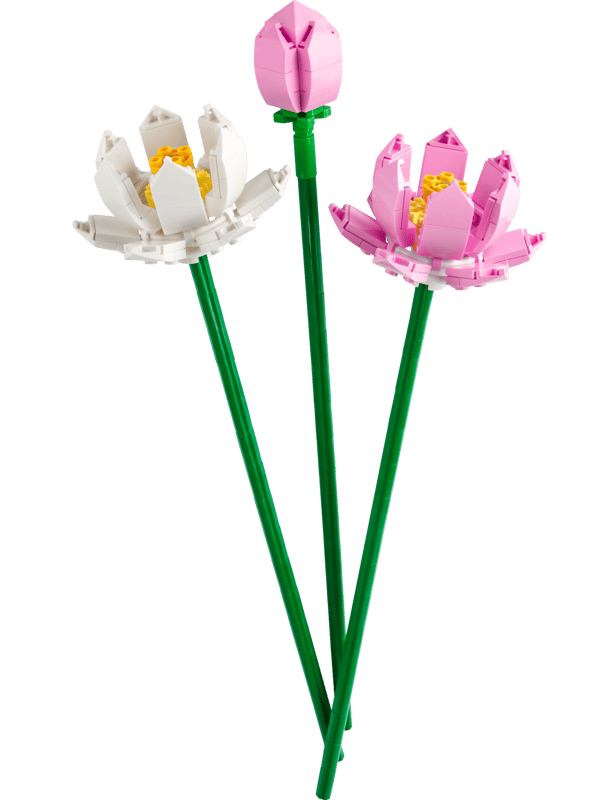 Fiori di Loto Cod. 6442618