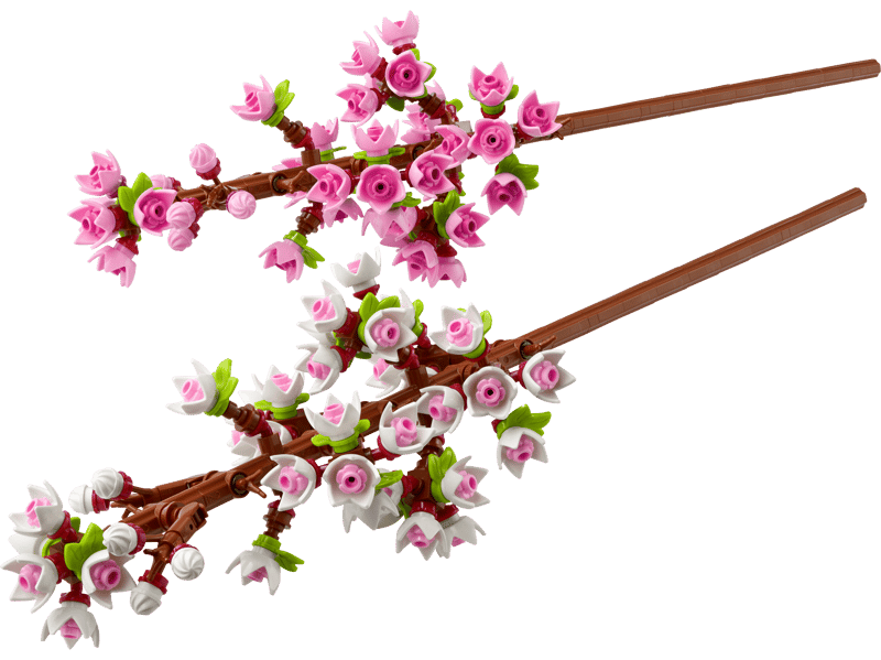 Fiori di Ciliegio Cod. 6627167