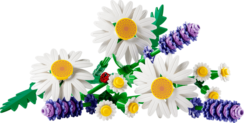 Bouquet.Margherite Cod. 6588549