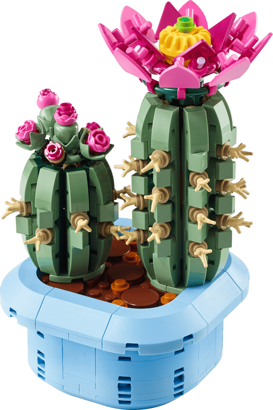 Cactus in Fiore Cod. 6581012