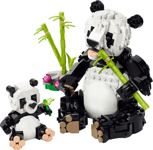 Animali Selvatici Famiglia di Panda Cod. 6527853