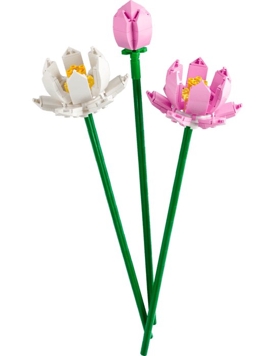 Fiori di Loto Cod. 6442618