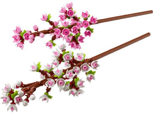 Fiori di Ciliegio Cod. 6627167