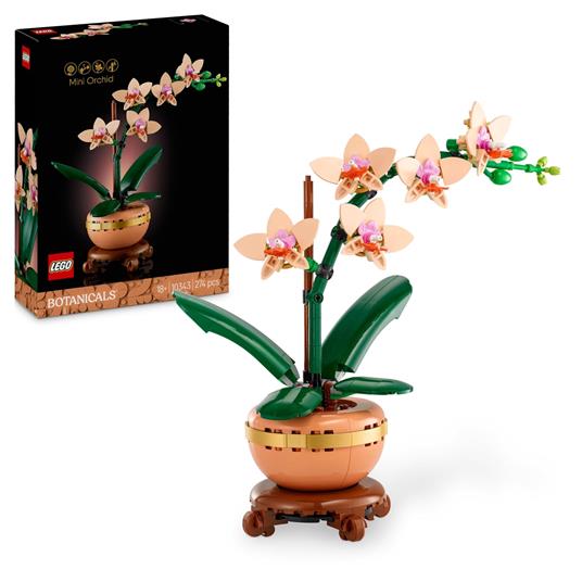 Mini Orchidea Cod 10343