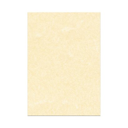 Carta pergamena A3 90 gr Crema 05