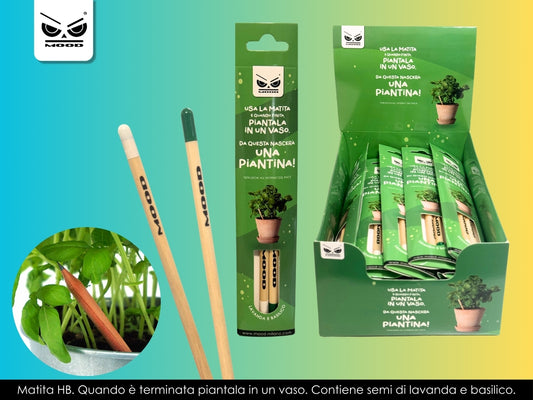 Matita che si pianta Set 2 pezzi Lavanda e Basilico Cod. ST7431